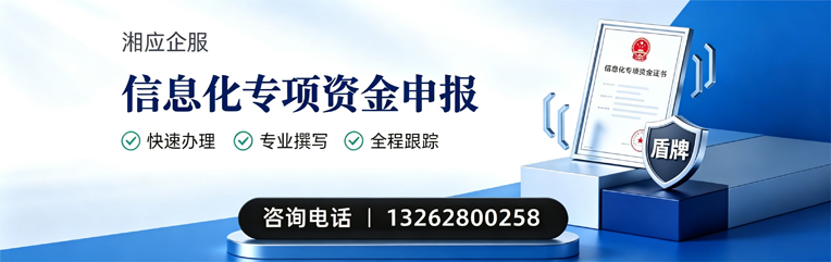 沈阳信息化专项资金申报服务