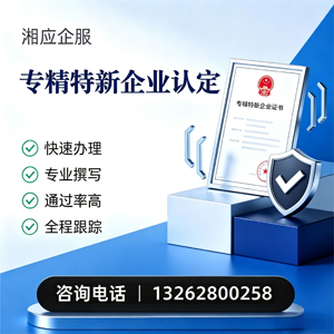 沈阳专精特新企业申报服务