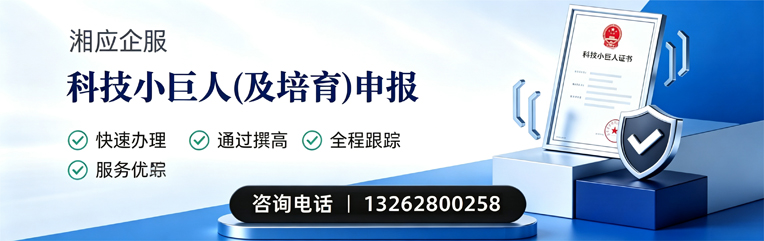 沈阳科技小巨人及培育企业申报服务