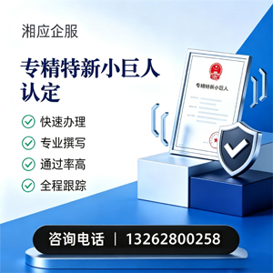 沈阳专精特新小巨人申报服务