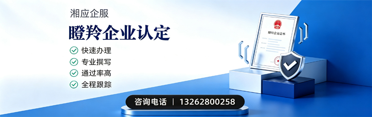 沈阳瞪羚企业认定申报服务