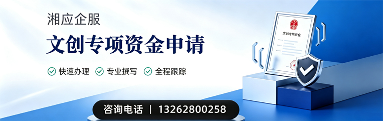 沈阳文创专项资金申报服务