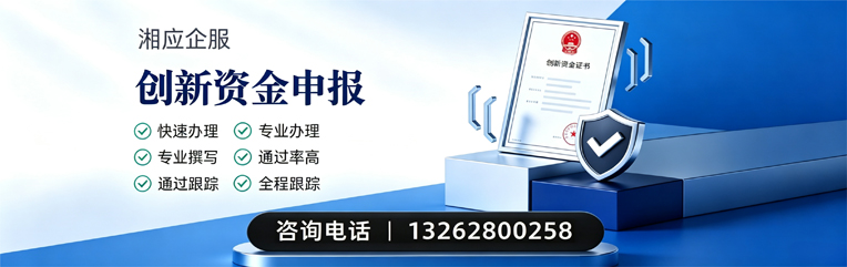 沈阳创新资金申报服务