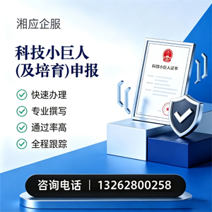 沈阳科技小巨人及培育企业申报服务