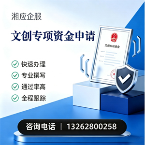 沈阳文创专项资金申报服务