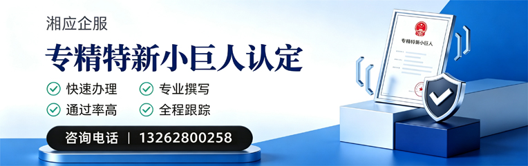 沈阳专精特新小巨人申报服务